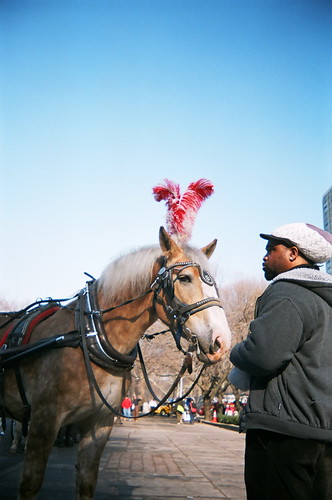 {34/365} horse & handler