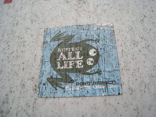 SF Street Sticker