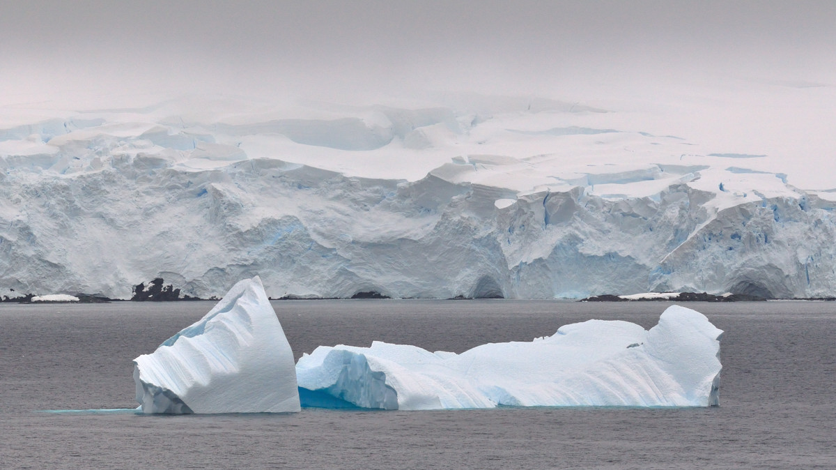 Icebergs, glacier @ Gerlache Strait