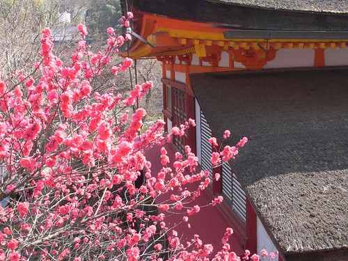 09-04-10【桜】＠談山神社-12