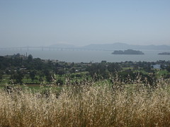 SF Bay from the North