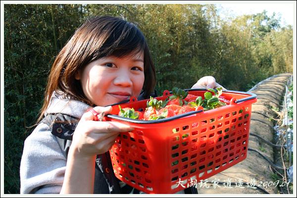 090117_11_採草莓