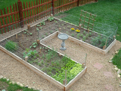 Garden (view from the deck)