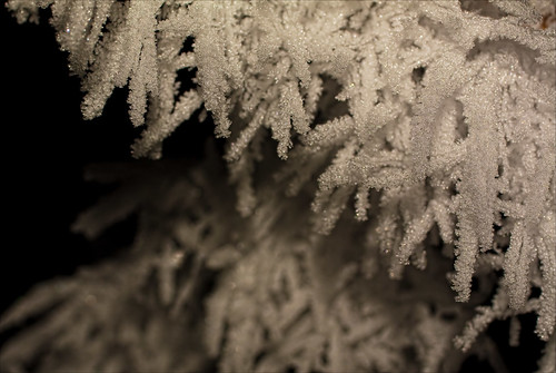 Macro picture of frost on a branch.