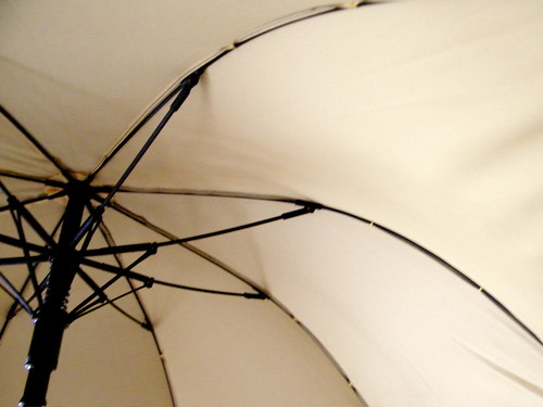 Cheeky Umbrella