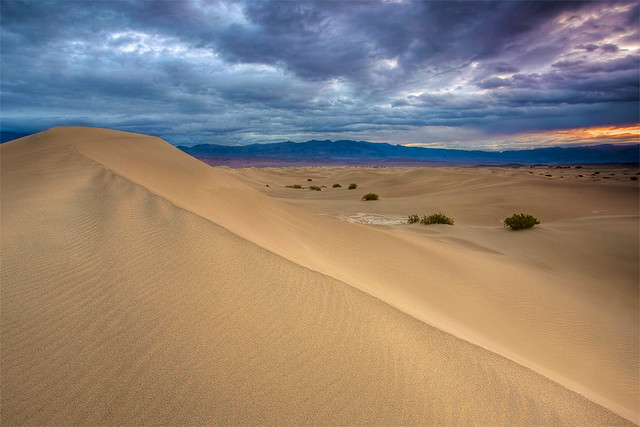 Stormy Mesquite Dunes - Death Valley