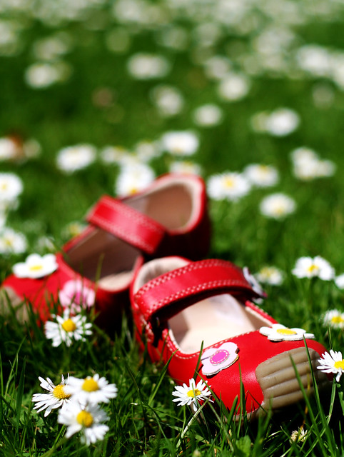 19th April - red shoes in the daisies