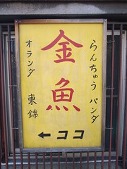 Signboard, Goldfish