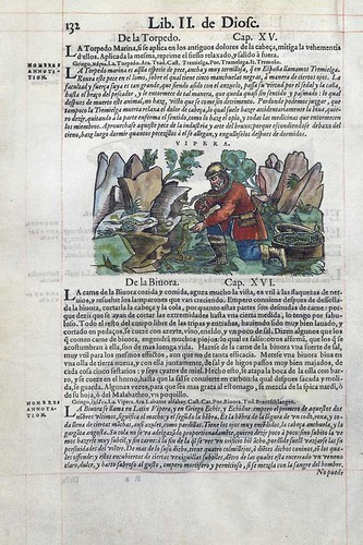 008-La vibora- Pedacio Dioscorides Anazarbeo 1555
