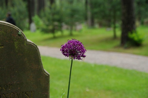woodland cemetery