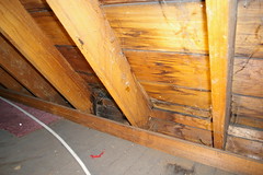 Evidence of water damage by fireplace chimney