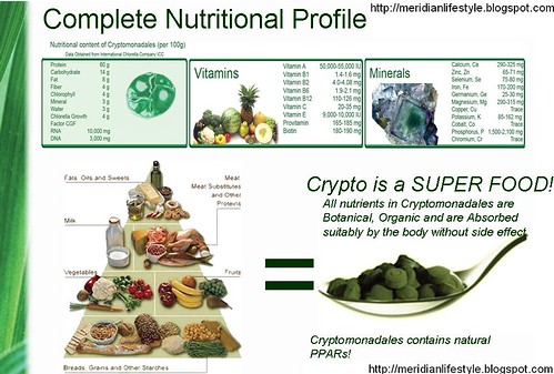 usda food pyramid 2011. Food Pyramid. The USDA has