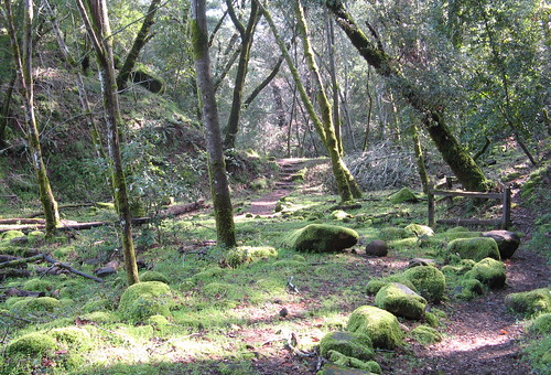 Swanson Creek Trail