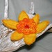 NARCISSUS - Needle Felted Brooch