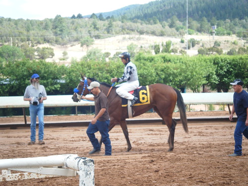Horse @ Ruidoso Downs NM