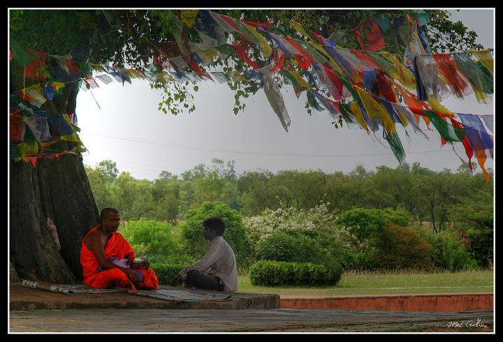 Nepal - Monk