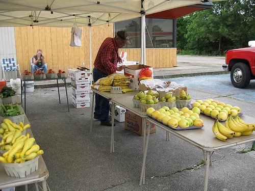 The Roadside Stand in Town