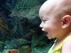 r. at the aquarium