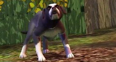 Sims 3 Pets 33