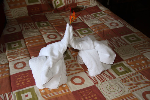 Elephant Towels