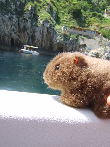 The Wombat at the Blue Cave