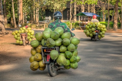 Coconuts on Bikes