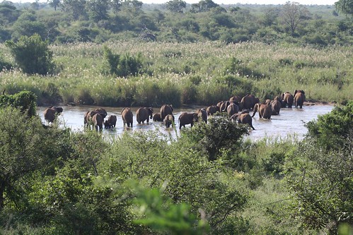 Elephants Crossing the Sabie River ©  Jean & Nathalie