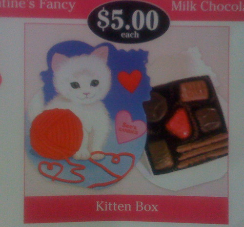 kitten box $5