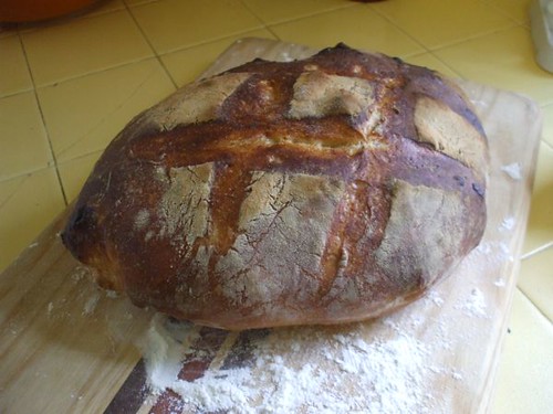 my first Artisan Bread in 5 Minutes a Day