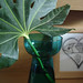 Big leaf in vase