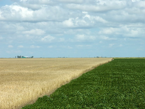 mb08h60 Manitoba, Flat Prairie Farms 