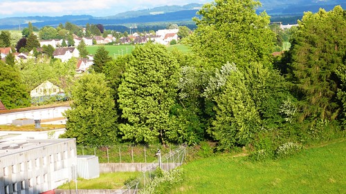View Southeast from Solothurn hospital