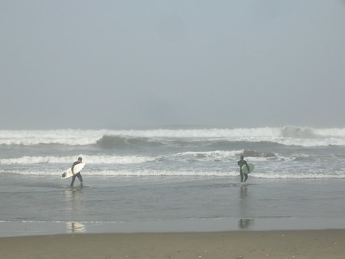 SURFERS ARE BACK (3)