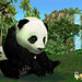 panda2 par gonintendo_flickr