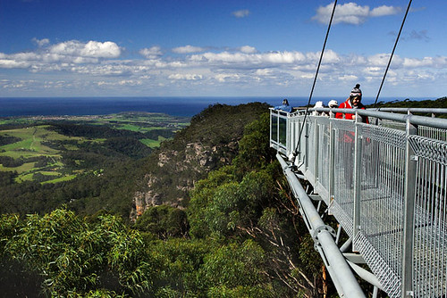 Illawarra Fly Tree Top Walk, Knights Hill, New South Wales, Australia IMG_4536_Illawarra_Fly