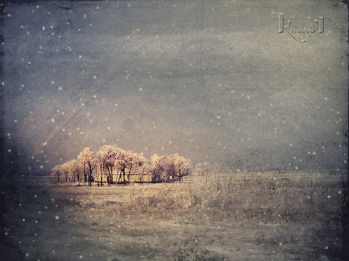 Winter in Vojvodina by KristinaVF.