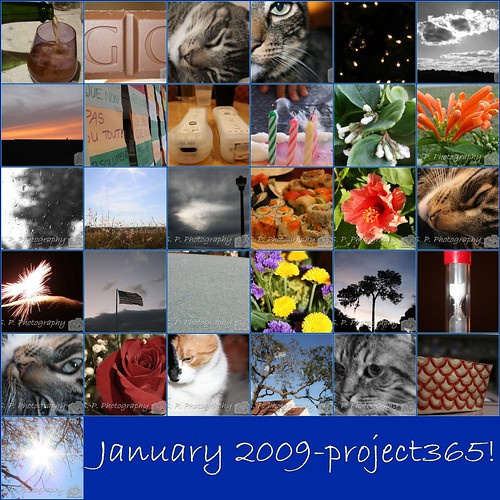 January 2009 project365