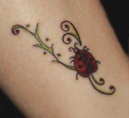 ladybug tattoo,female tattoo, sexy girl tattoo, back body tattoo,arm tattoo, hawaii 3D tattoo on foot tattoo,hand tattoo