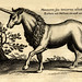 Unicorn #2--Jonston-Merian  Tab XI Frankfurt 1652 