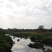 Acwa River
