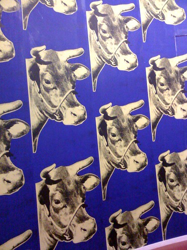 cow wallpaper. cow wallpaper