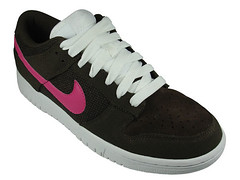 nike-dunk-low-cl-ss09-4