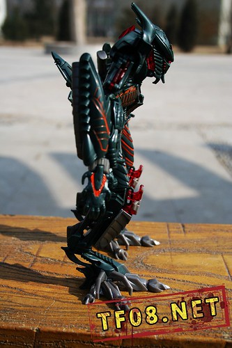 Transformers 2 The Fallen perfil