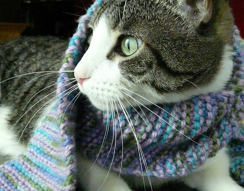 FO: Simply 17 modeled by Rocky T. Cat