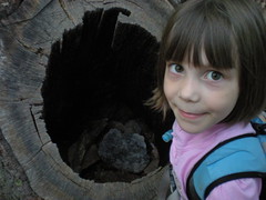  3 - Sophie  and a Hollow Tree Trunk 