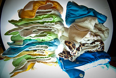 flip cloth diaper