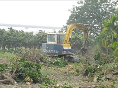 環保署發布-非法棄置場址 6處土壤重金屬超標-屏東番子寮段-果樹剷除作業