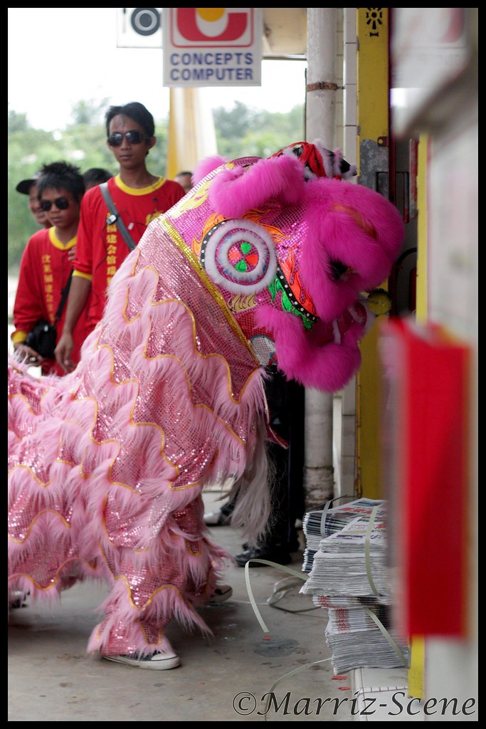 Blessing of the pink lion