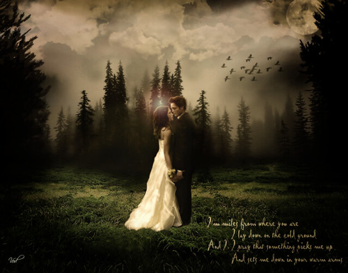 Edward & Bella by -♥LionLamb-.