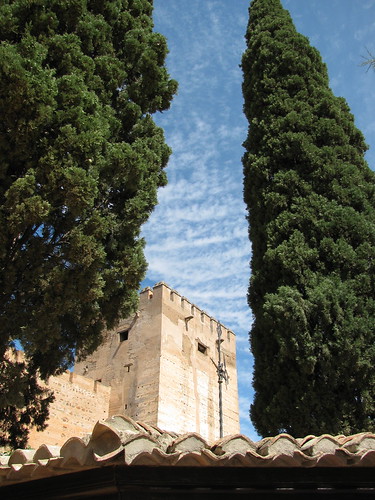 Trees and Tower, Alhambra